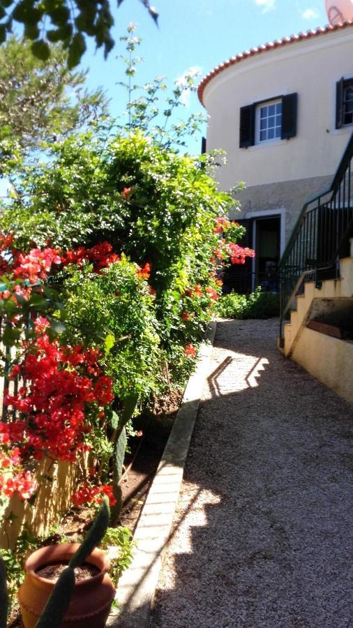 Amazigh Guincho Hostel & Suites كاسكايس المظهر الخارجي الصورة