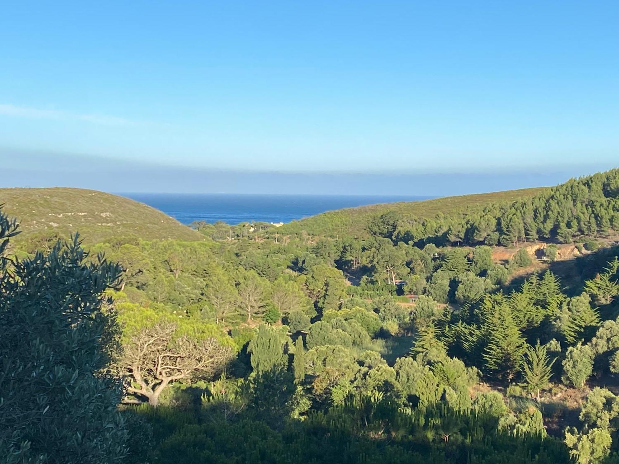 Amazigh Guincho Hostel & Suites كاسكايس المظهر الخارجي الصورة